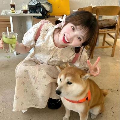 追剧频道